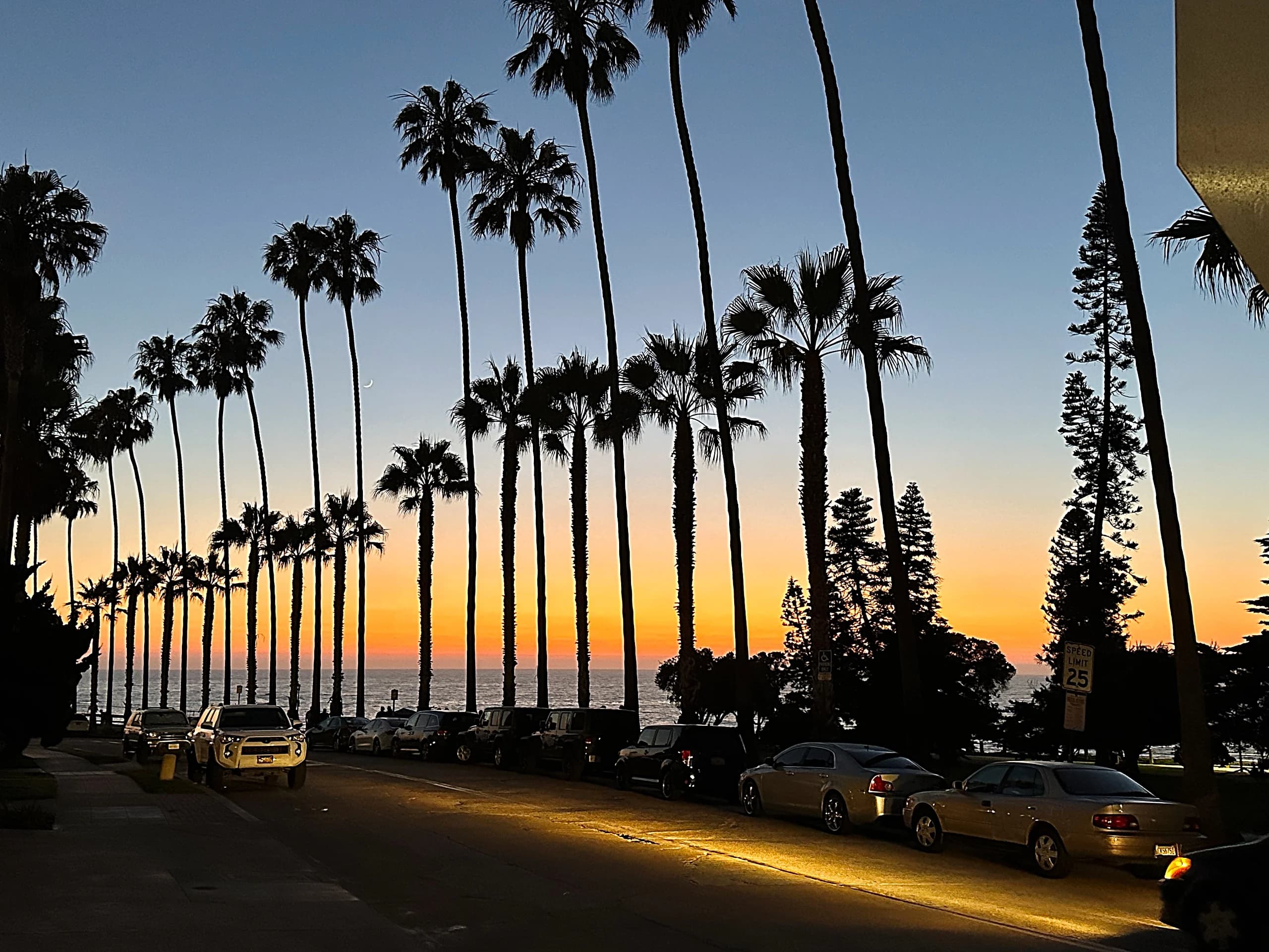 A row of tall palm trees silhouetted against an orange sunset over the road in La Jolla.